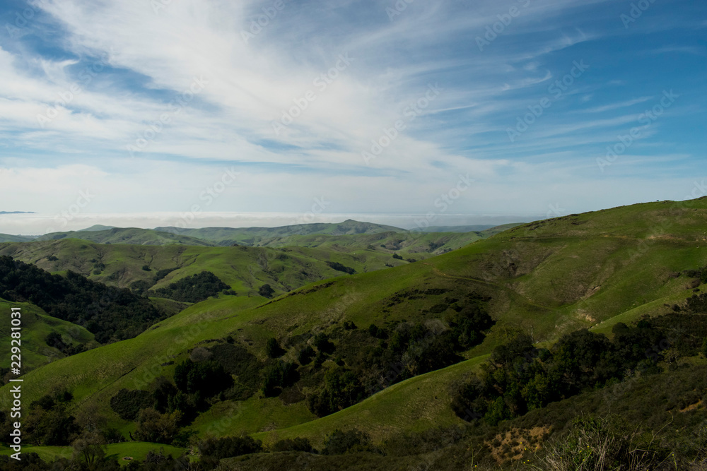 Verde y cielo