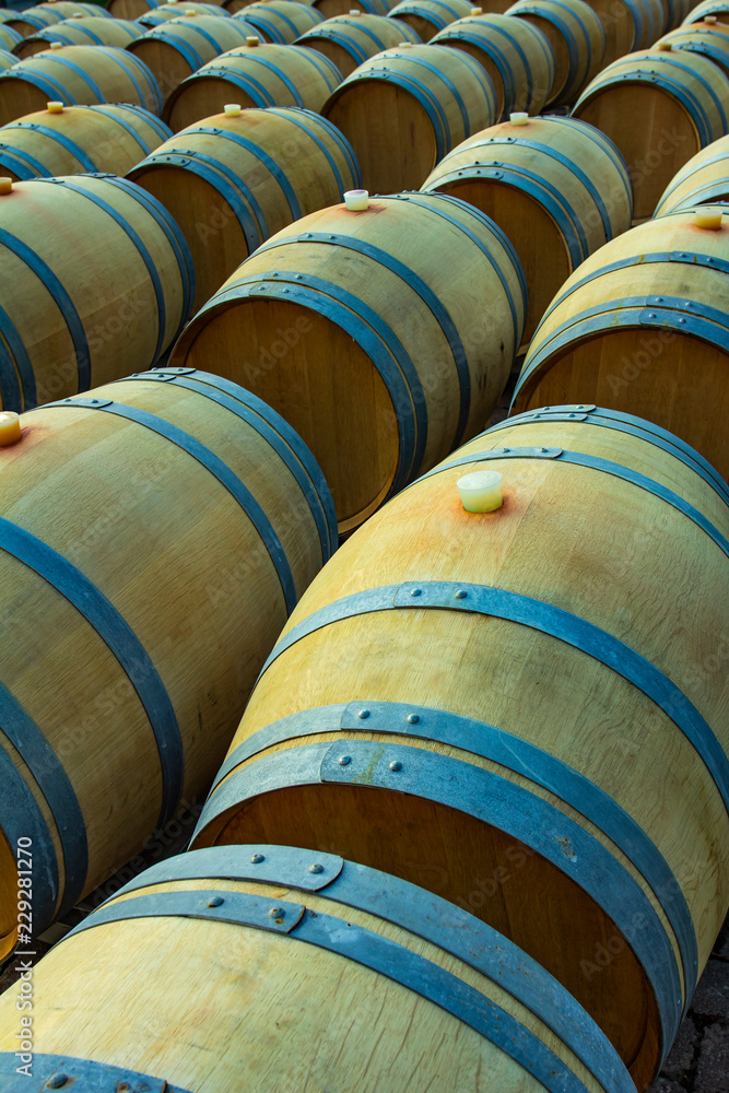 Wine barrels in the antique cellar. Cavernous wine cellar with stacked oak barrels for maturing red wine. Wine barrels in the antique cellar. Cavernous wine cellar with stacked oak barrels for maturing red wine.