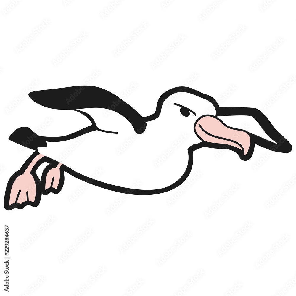 鳥のイラスト 大きな翼を広げて羽ばたいているアホウドリ Stock Vektorgrafik Adobe Stock