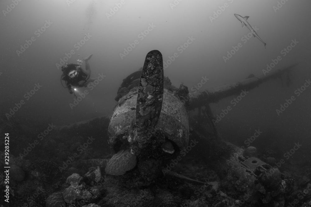 © Song Heming/Stocksy - A female scuba diver exploring wreck of  Japanese fighter plane undersea