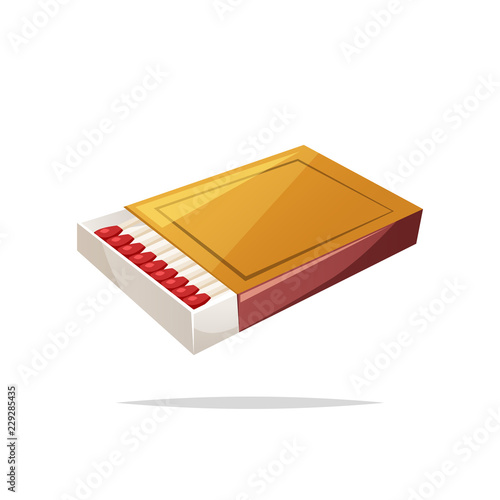Box of matches vector isolated