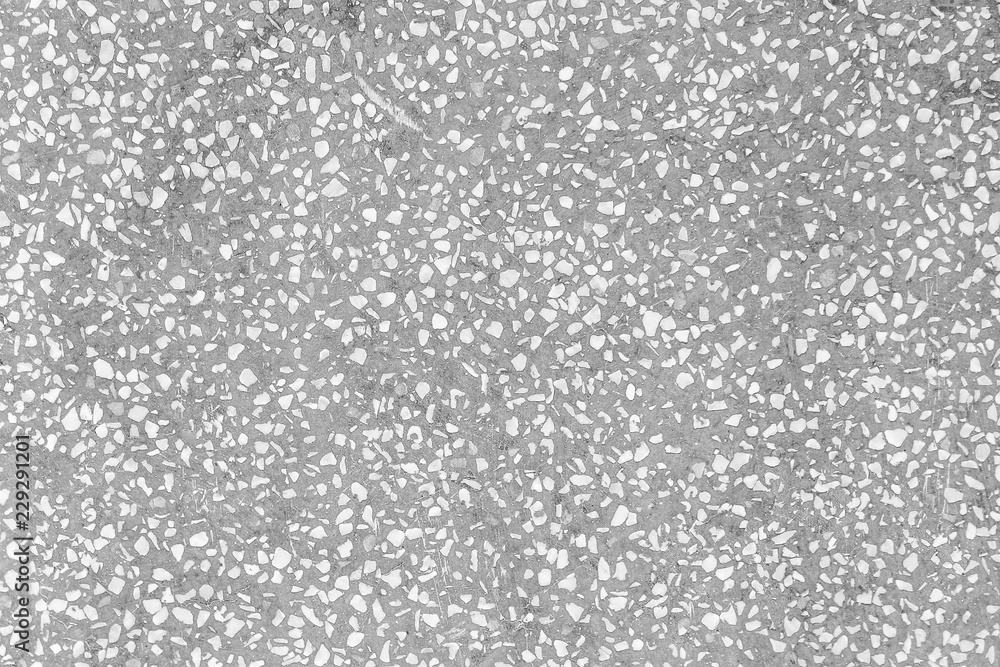 Texture terrazzo floor in small rock patterns ,Gray and white background