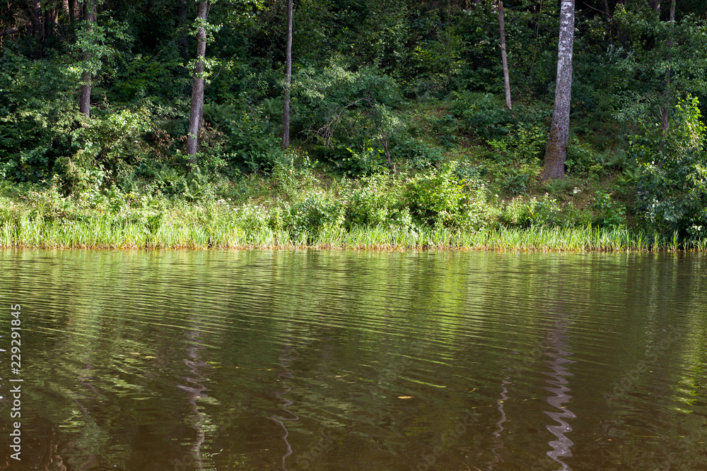 Obraz premium lake shore