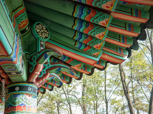 숲 속의 팔각정에 장식된 한국 전통 단청