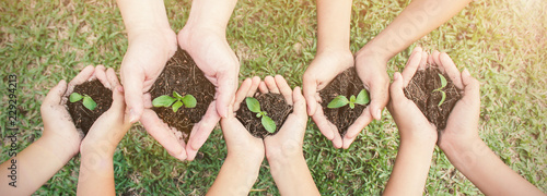  Multicultural hands of adult and children holding young plant over green grass background. Earth day environment friendly harmony together spring concept banner.