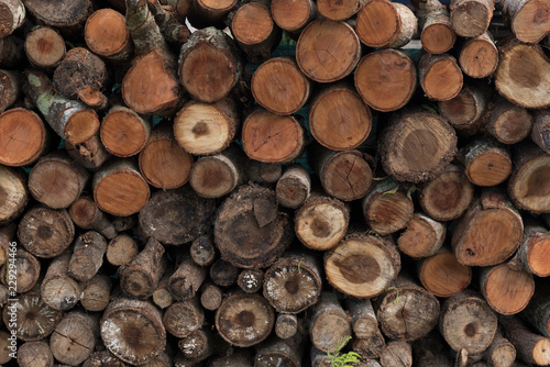 Timber firewood background