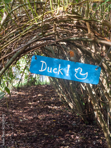 robin bird on a sign blue duck nature reserve dedham photo