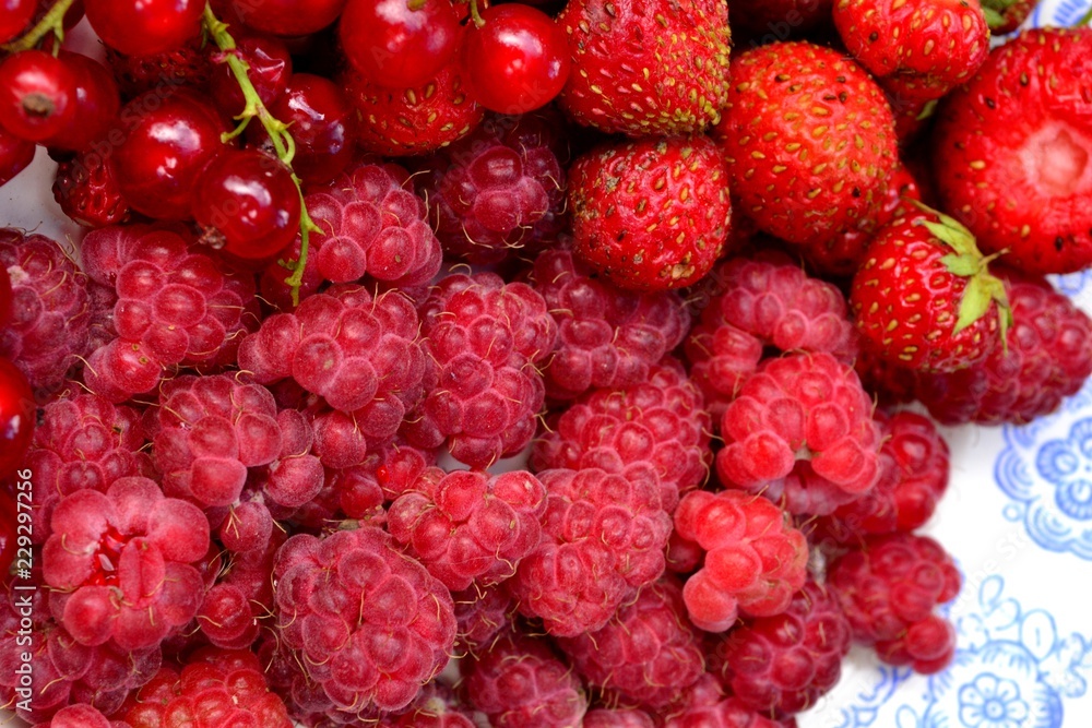 Малина, смородина и клубника Малина, смородина и клубника