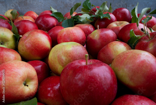 red fruit apples