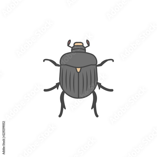 Chafer colored outline icon. One of the collection icons for websites, web design, mobile app