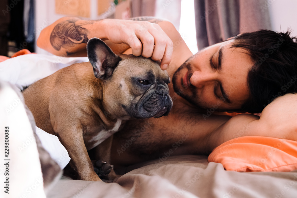 are french bulldogs cuddlers