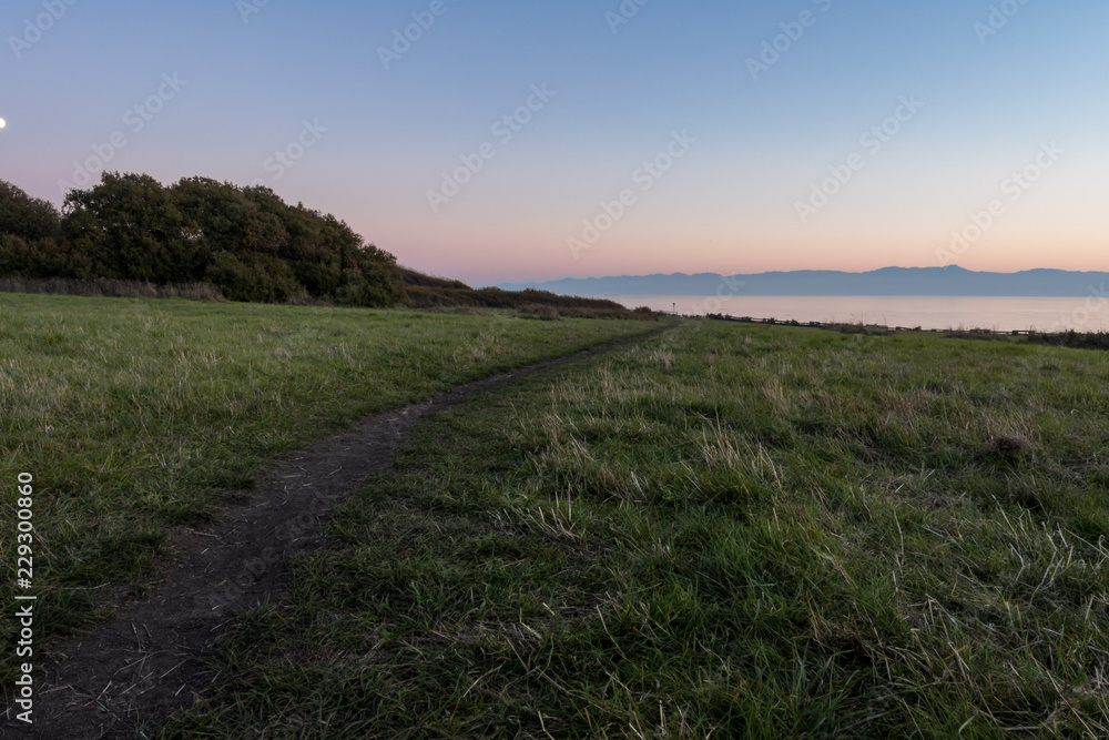 trail on the grass field pointing towards the ocean at sunset