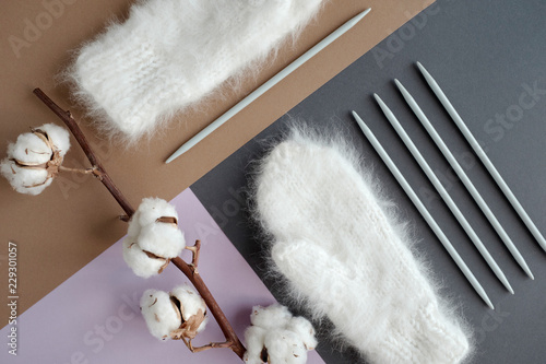 Composition with mittens and cotton