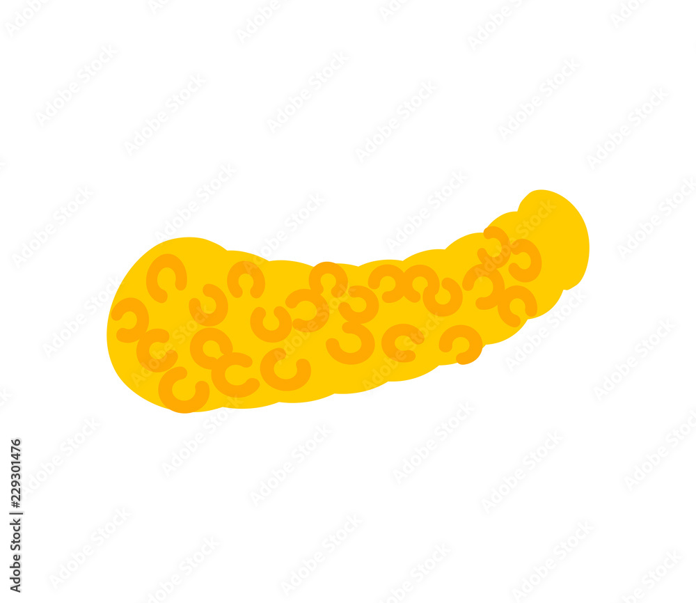 Pancreas isolated. Internal organs Human anatomy. vector illustration Pancreas isolated. Internal organs Human anatomy. vector illustration