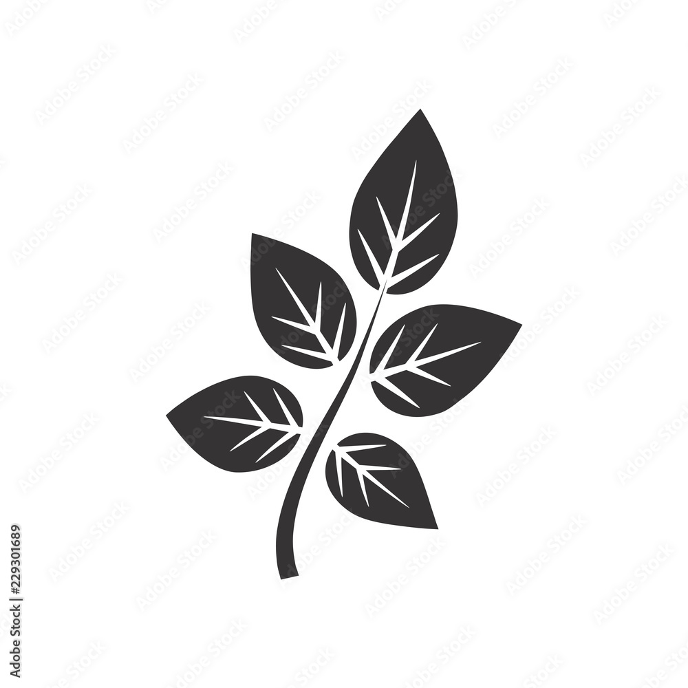 leaves icon and symbol leaves icon and symbol