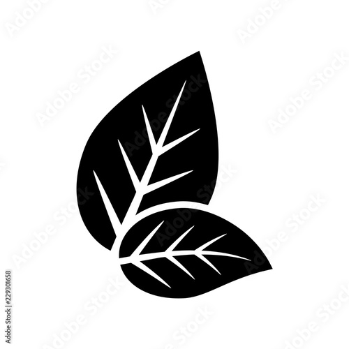 leaf icon vector