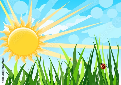Sunny natural  funny cartoon background vector illustration, green grass, ladybug