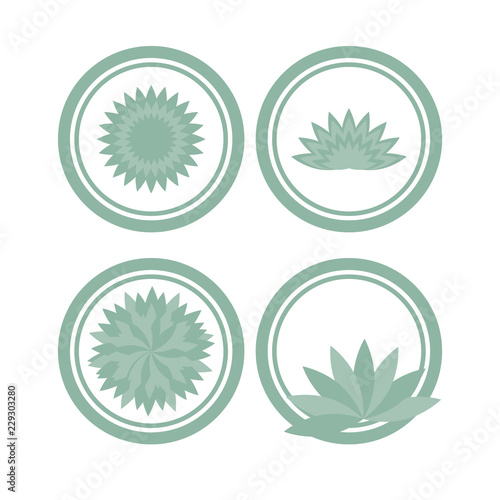 Aloe, Agave. The logo, icon, logo. Set