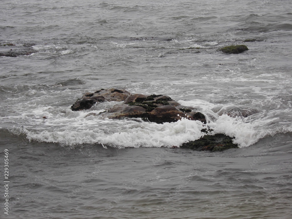 Fototapeta premium Meer