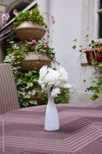  Bouquet of white chrysanthemum in a white vase on the table