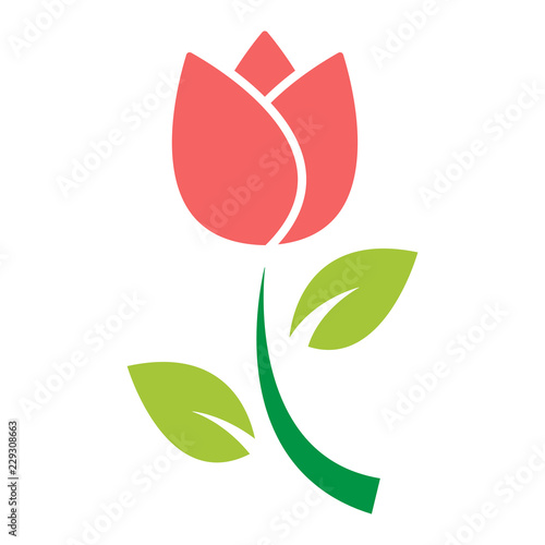 tulip flower icon vector