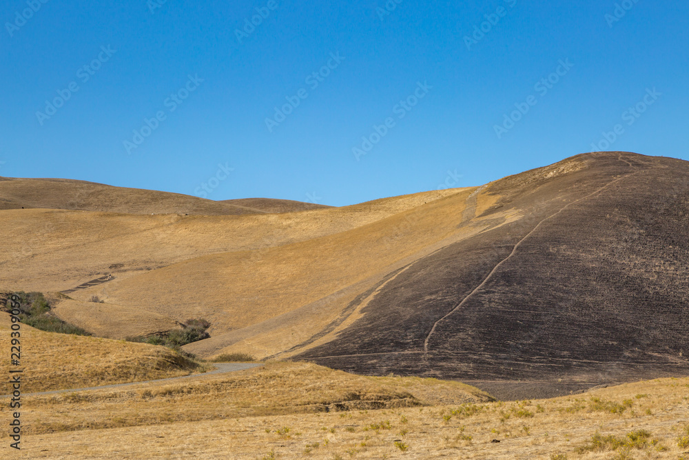 Parched Californian Landscape, with evidence of Fire Damage on a hill