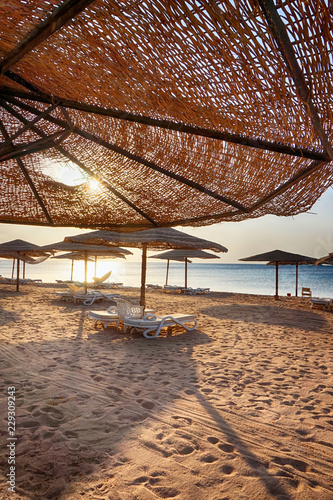 beach in the egypt