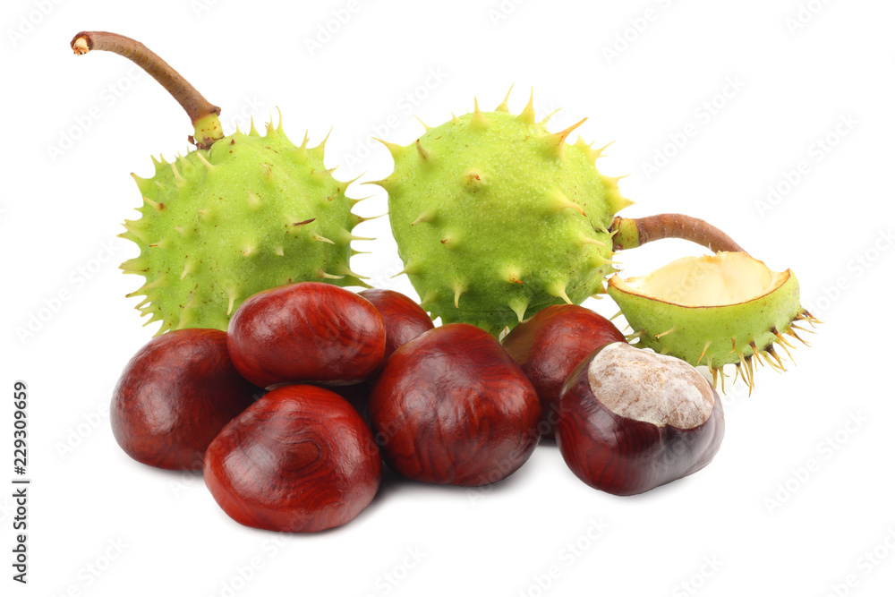 chestnuts isolated on white background. Healthy background. chestnuts isolated on white background. Healthy background.