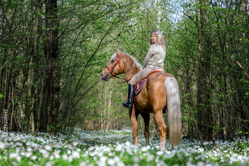 Young lady riding a horse outdoors. © Osetrik