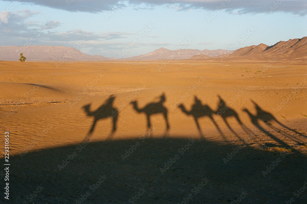 tramonto a dorso di cammello, Marocco