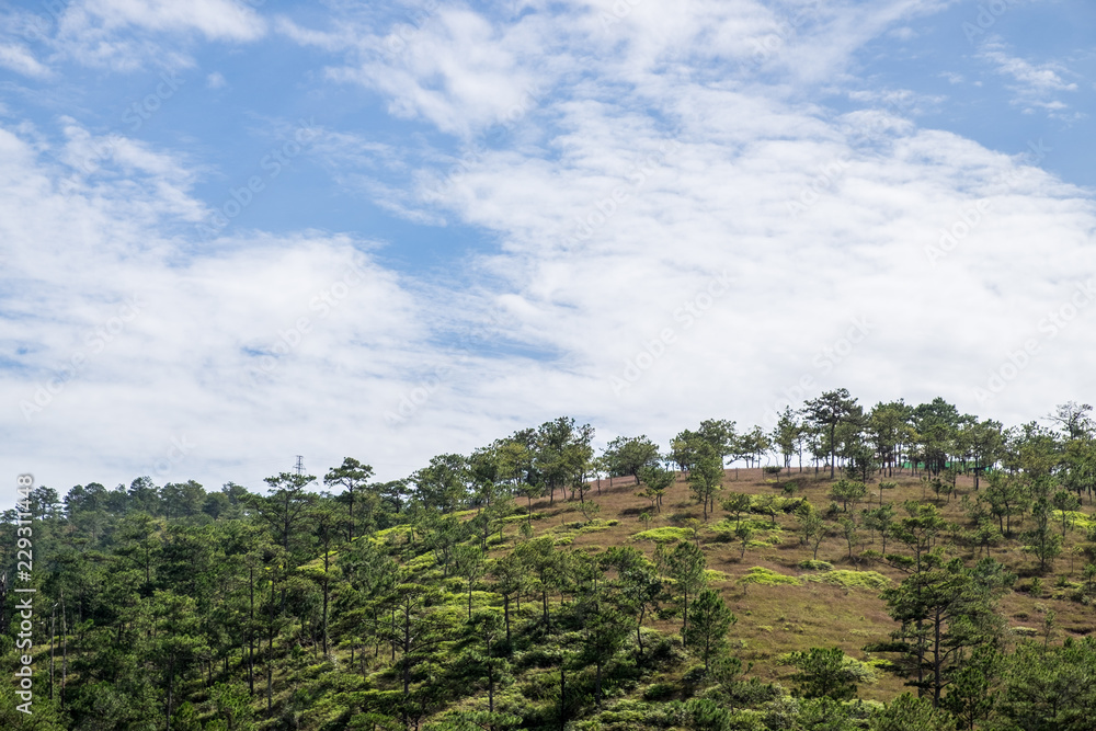 Panoramic view of mountains and valleys in Dalat, Vietnam. Da lat is one of the best tourism cities and aslo one of the largest vegetable and flowers growing areas in Vietnam