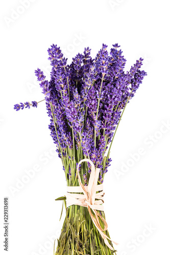 Fototapeta Naklejka Na Ścianę i Meble -  Bouguet of violet lavendula flowers isolated on white background, close up