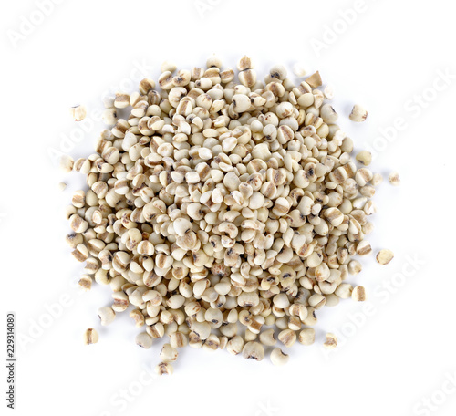 Millet rice, millet grains on white background