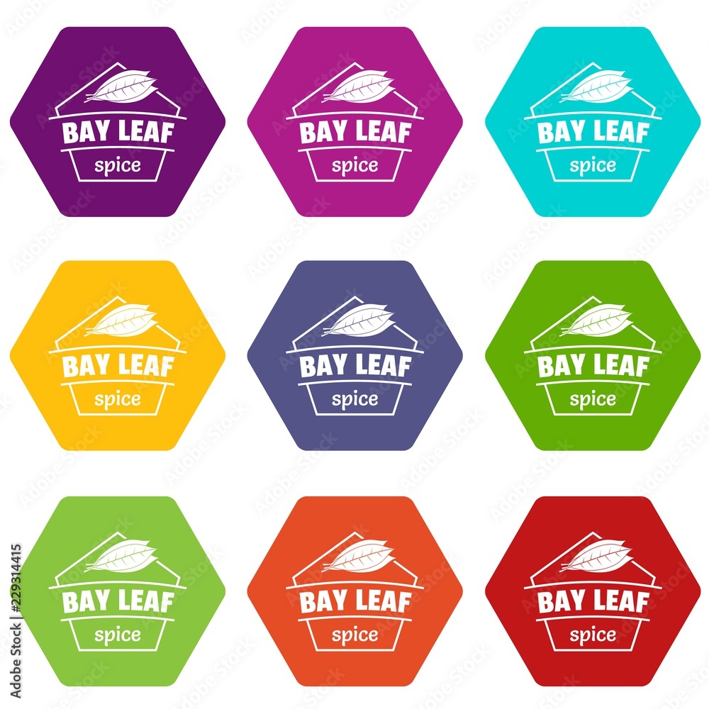 Bay leaf spice icons 9 set coloful isolated on white for web Bay leaf spice icons 9 set coloful isolated on white for web