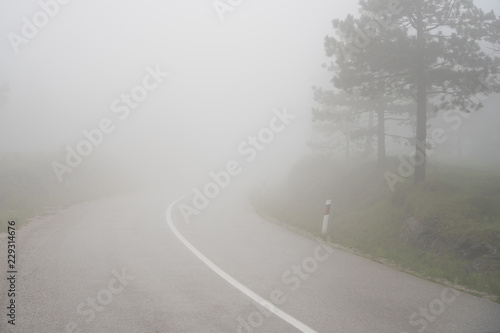 Foggy road through the forest with conifer trees in a mist