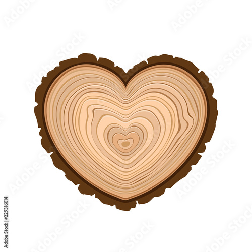 I love wood cutting tree as symbol of heart timber rings and bark