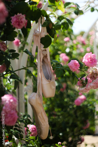 Ballett shoes