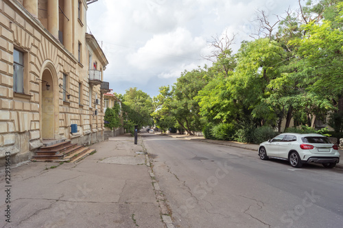 Wallpaper Mural Bright street with trees on the side of the road Torontodigital.ca