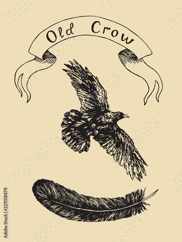 Crow flying with black feather and label banner old crow, hand drawn doodle, sketch outline, vector illustration on soft yellow background