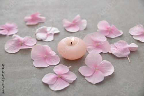 Many Pink hydrangea petals with candle in stone bowl on gray background