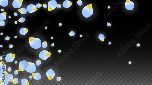 Vector Realistic Blue Petals Falling on Transparent Background.  Spring Romantic Flowers Illustration. Flying Petals. Sakura Spa Design. Blossom Confetti.
