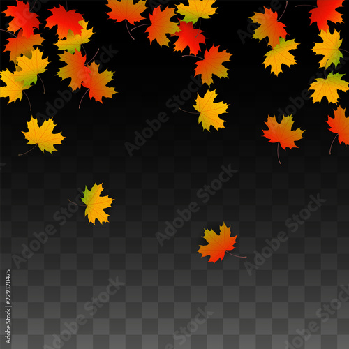 September Vector Background with Golden Falling Leaves. Autumn Illustration with Maple Red, Orange, Yellow Foliage. Isolated Leaf on Transparent Background. Bright Swirl. Suitable for Posters.