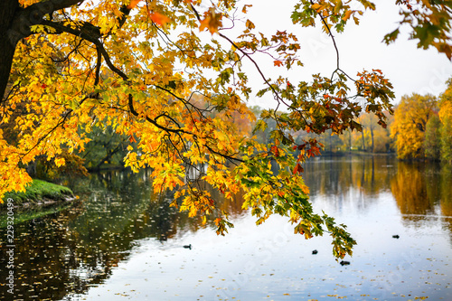 Autumn landscape. Beautiful lake and trees with yellow, green and red leaves. Colorful forest in fall season.