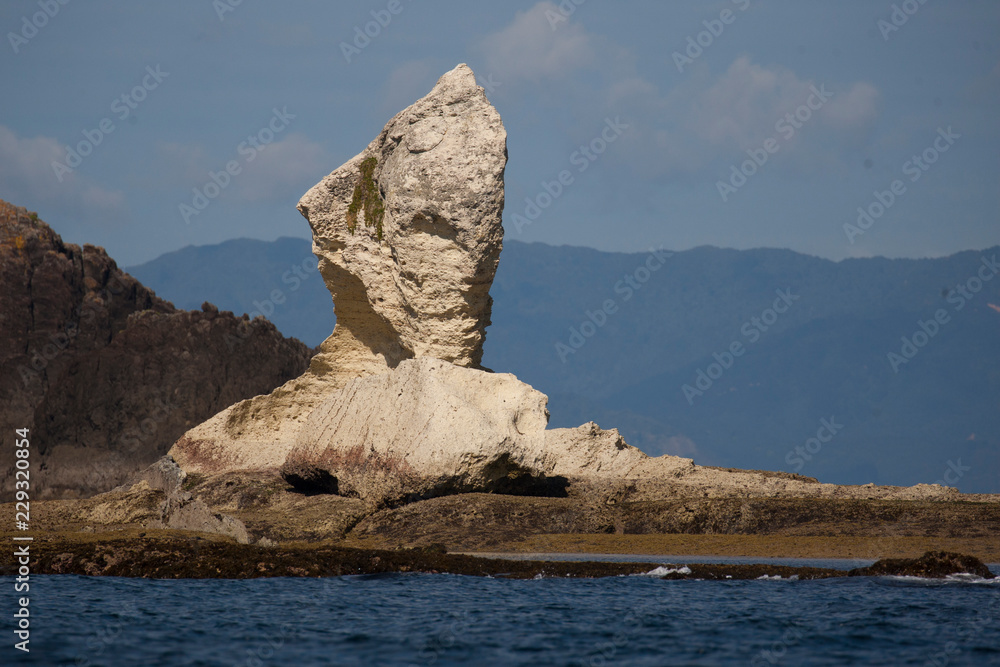 Lion rock off coast of NZ