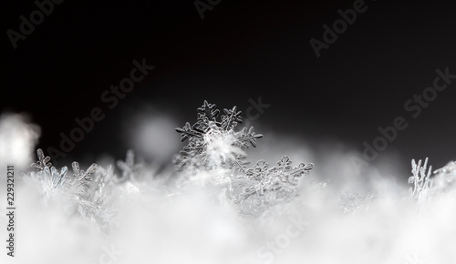 snowflake, little snowflake on the snow