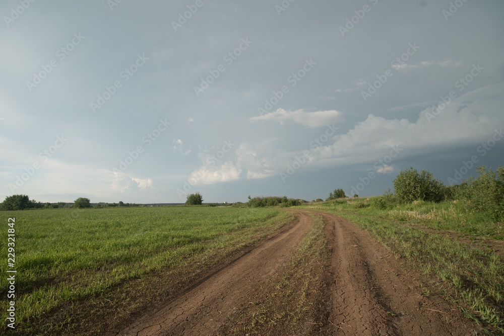 Fototapeta premium country road