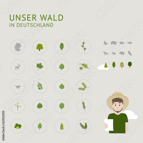 Unser Wald in Deutschland - Icons