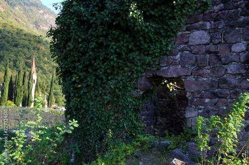 Burgruine mit Efeu überwuchert photo