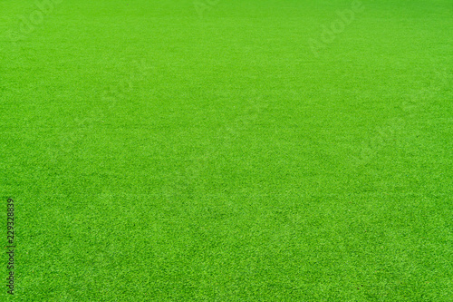 Perspective   Green grass background