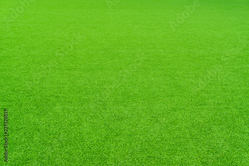 Perspective , Green grass background